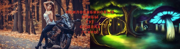 дживик Богданович