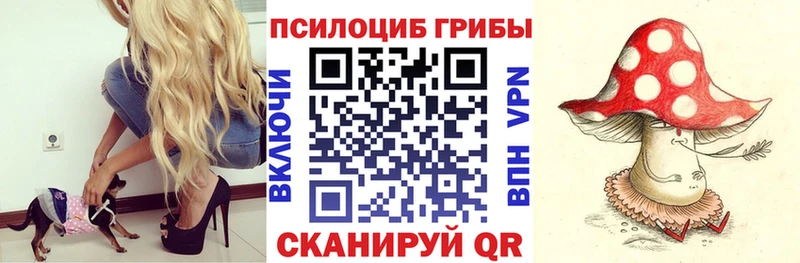 Галлюциногенные грибы прущие грибы  Крымск 